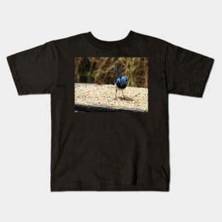 Superb Fairy Wren in Norton Summit 2 Kids T-Shirt